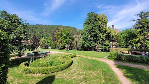 Kurpark St. Blasien - Thumbnail