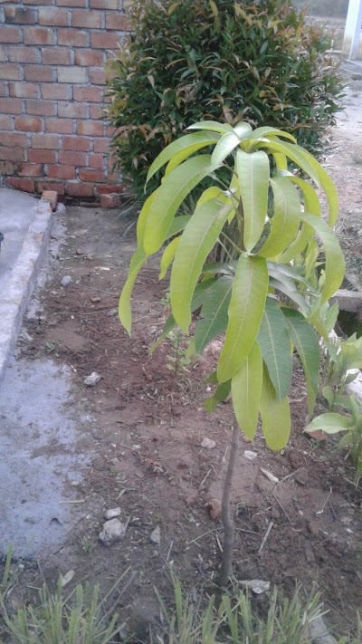 Photos of Perumahan Mega Indah 3 Pijoan