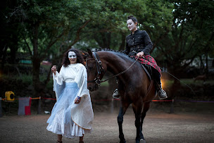 Photo n°7 de EQi Harmonie, ferme équestre initiatique et sanctuaire de chevaux en Ardèche à Saint-Laurent-sous-Coiron (Centre de randonnée équestre)