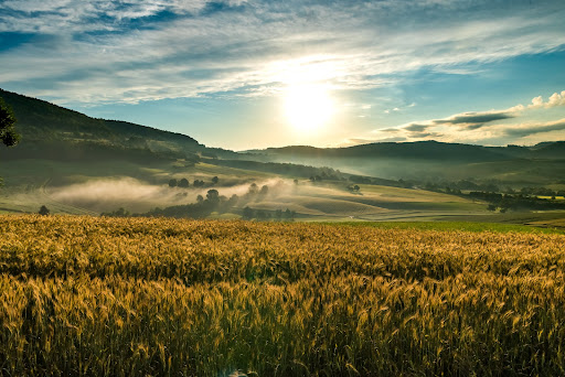 Schluchtensteig Schwarzwald Gallery - Germany