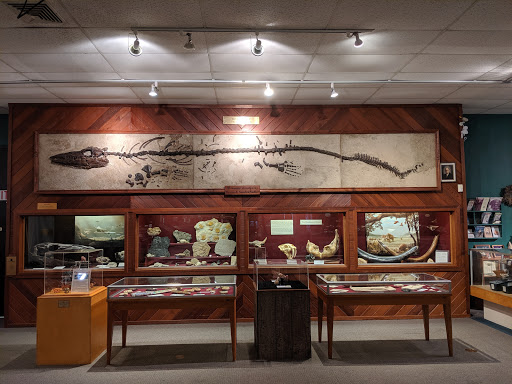 Brazosport Museum of Natural Science - Thumbnail