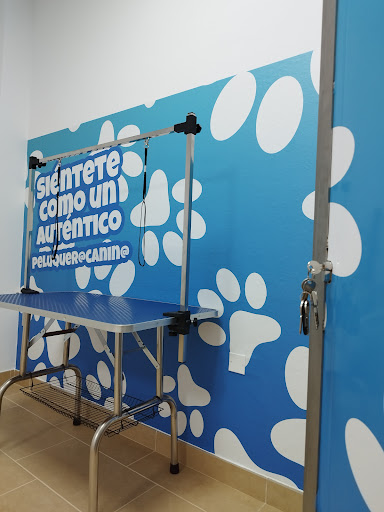 Chapoteando Vélez Rubio Peluquería Canina y Autolavado de mascotas Gallery - Spain