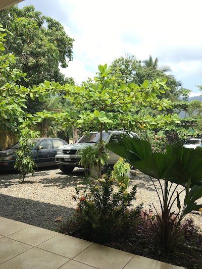 Photos of Hotel Napoles