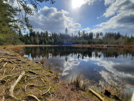 | TIWAP | Tier | Wald | Pädagogik | Plus - Thumbnail