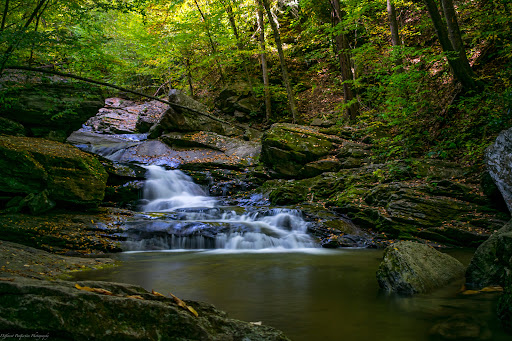 Crab Orchard Falls