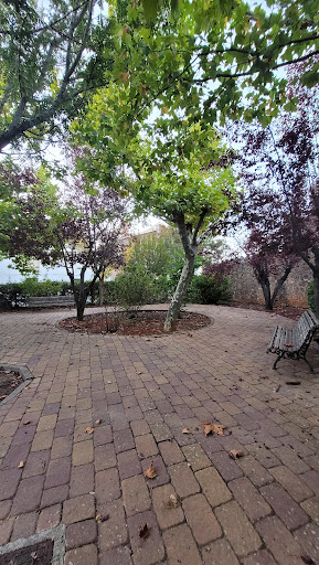 rural Park - Visual