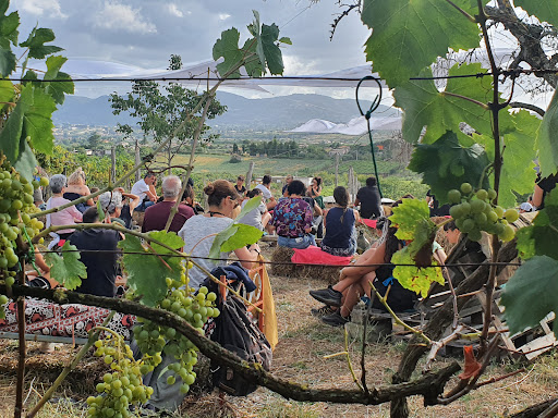 Pantasema Social Farm