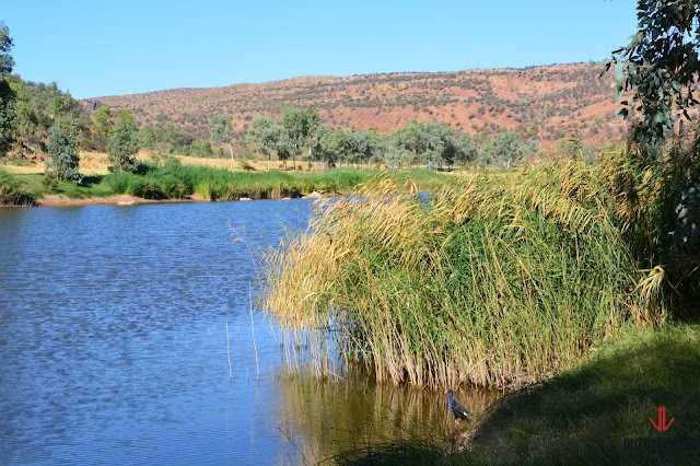 Finke Gorge National Park