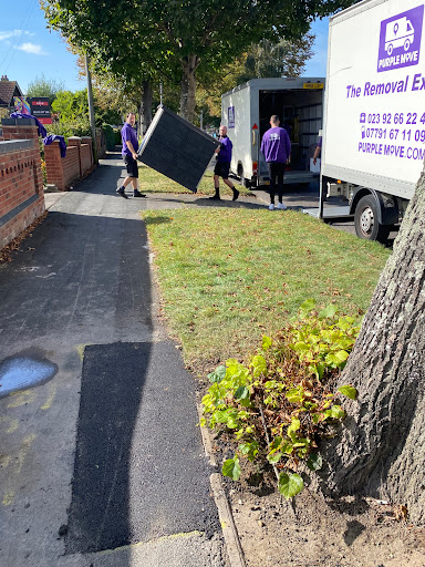 Purple Move - Visual