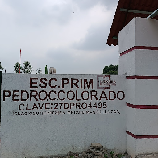 escuela primaria pedro c colorado - Thumbnail