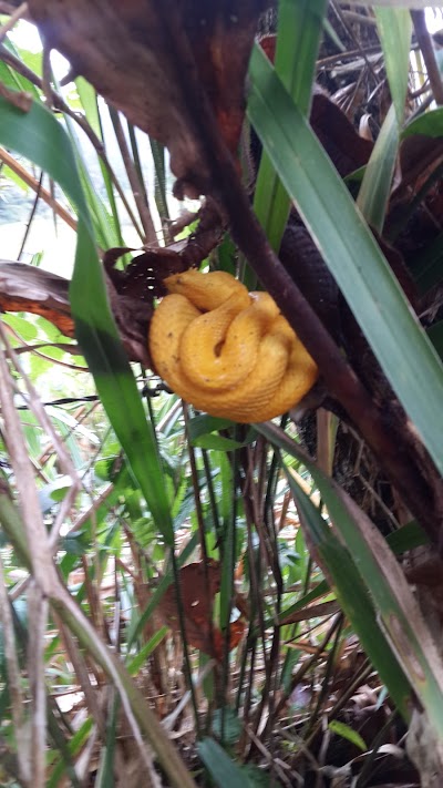 Photos of Serendipity Adventures