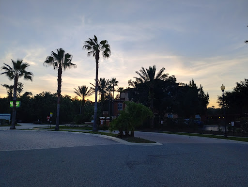 The Palms Club Orlando - Thumbnail