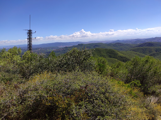 Puig d'Agulles - Thumbnail