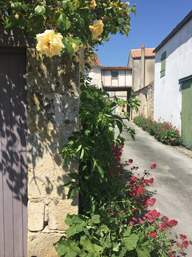 Photo de La maison du Baloir à Thairé (17290)