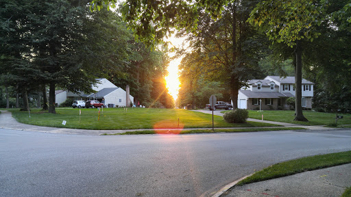Acker Park - Visual