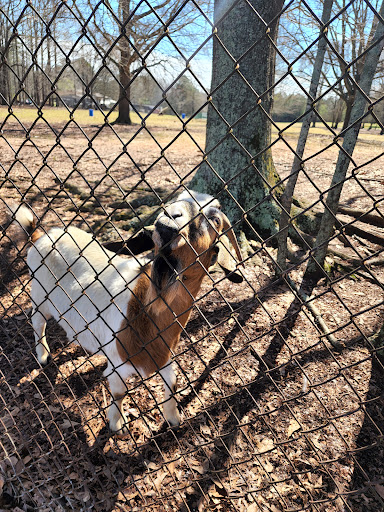 Pope Field Park - Thumbnail