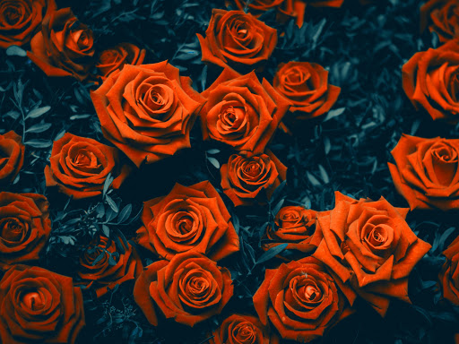 Chiara Flora - Visual