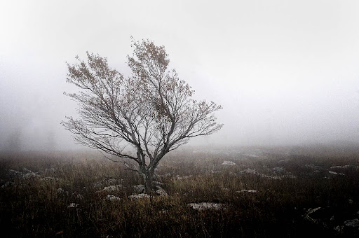 Crede Calhoun Photography - Thumbnail