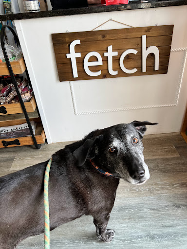 Fetch 02025 - Visual