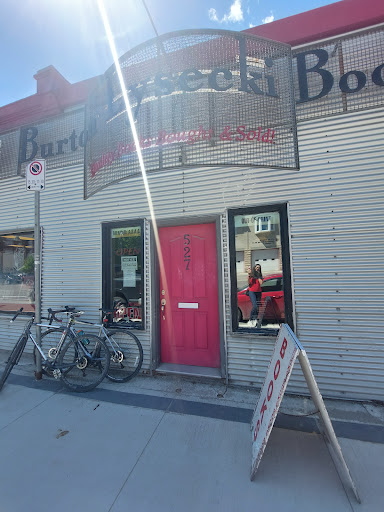 Burton Lysecki Books - Thumbnail