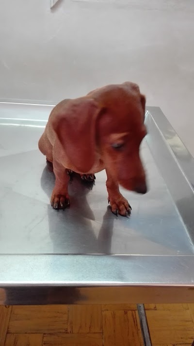 Photos of VETERINARY CENTER OF THE WEST