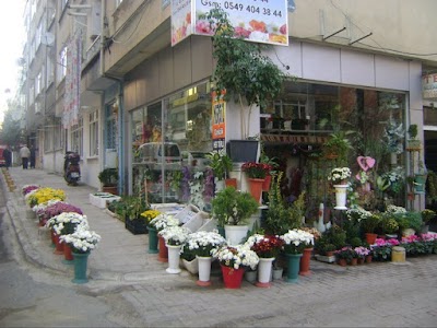 Photos of Interflora Flowers Turkey