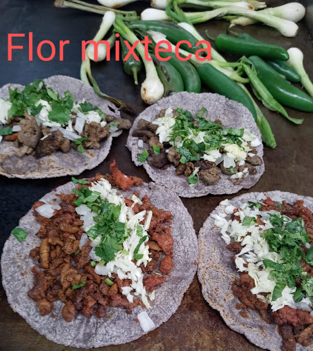 Flor mixteca - Visual