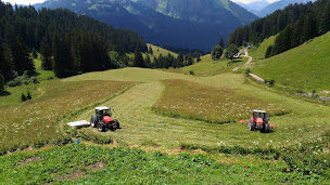 Photo n°2 de GAEC Barbossine à Châtel (Agriculteur)