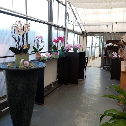 Lemförder Orchideenzucht