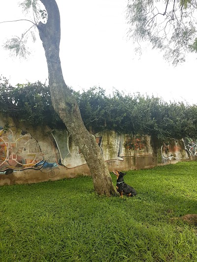 Photos of Finsa