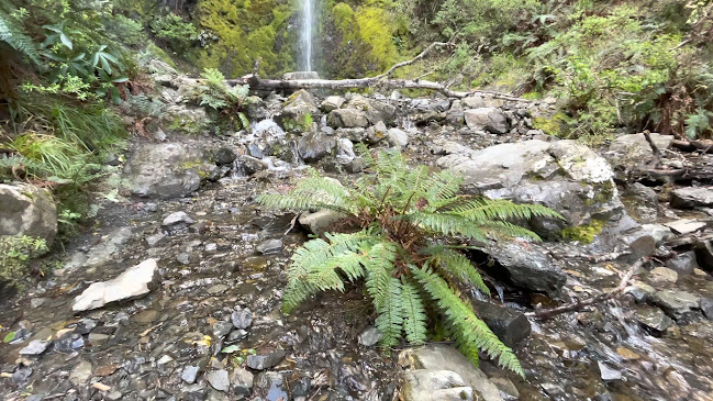 Dog Stream Waterfall Open Times