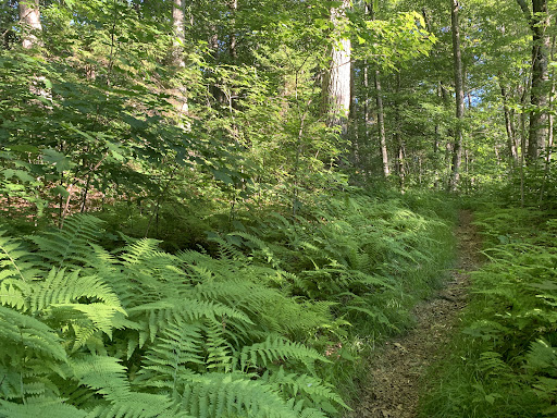 Pratt Mountain Summit Gallery - United States