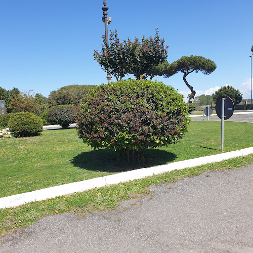 Consorzio Marina Di Tor San Lorenzo - Thumbnail