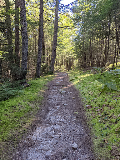 Hadlock Community Forest - Thumbnail