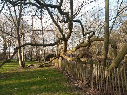 Frédéric Passy Environmental Park - Thumbnail