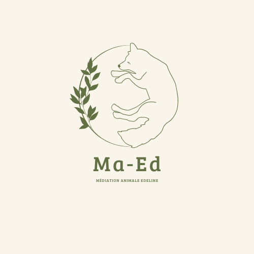 Ma-Ed - Visual