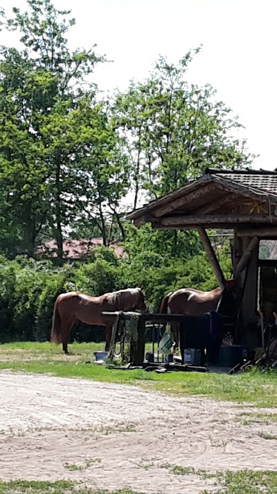 Photos of Three Oak Ranch