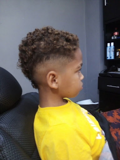 BEARS Barber - Visual