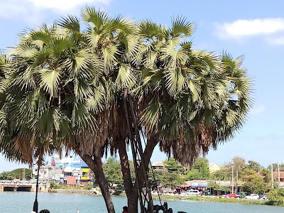 Photos of Mahatma Gandhi Park