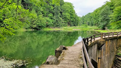 Fillmore Glen State Park