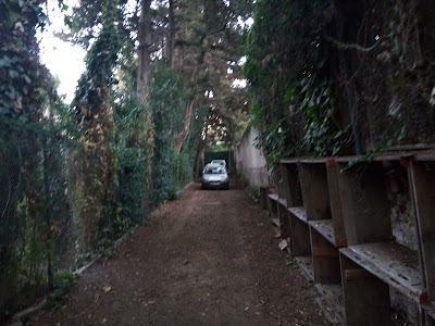 embassy