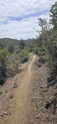 Salida Gulch Trail #95 - Thumbnail