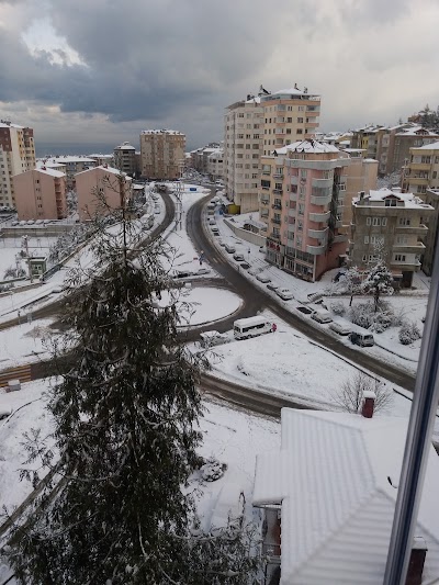 Photos of Kilpa - Erdoğdu