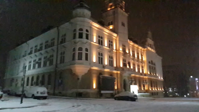 orar Consiliul Județean