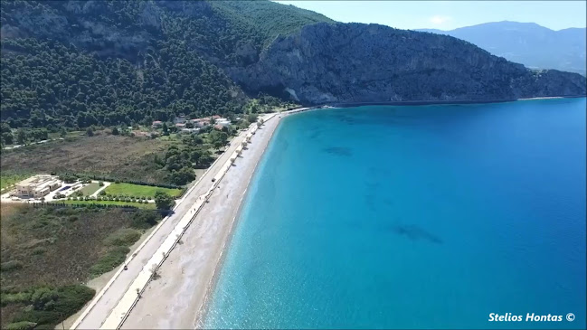Ψαροταβέρνα «η Ψάθα»