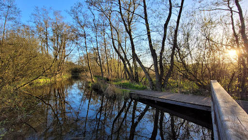 Härenbeker Teich