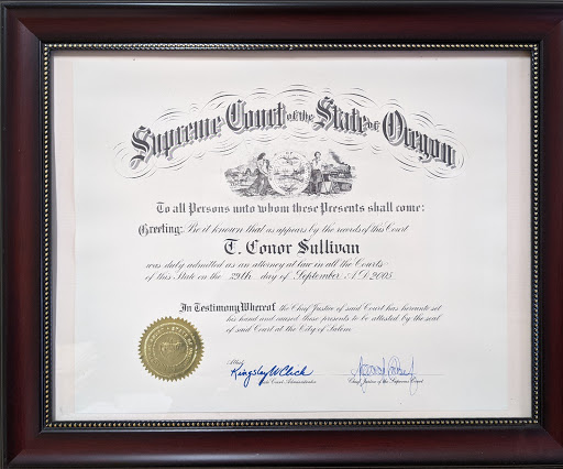 Sullivan T Conor - Visual