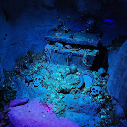 Photo n°63 de Le Refuge des Pirates à Dijon (Restaurant)