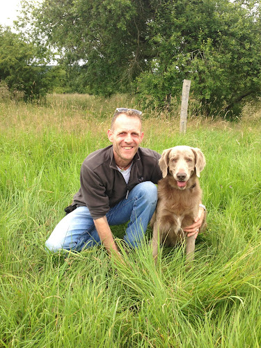 Dogwhisperer Hundeschule