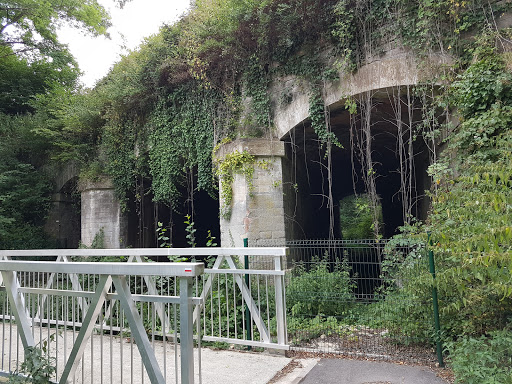 Photo de EHPAD Le Hêtre Pourpre (Groupe SOS Seniors) à Holving (57510)